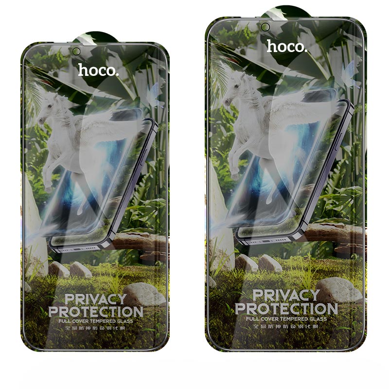 Hoco Privacy Schutzglas HD Sichtschutz 9H für iPhone X / Xs / 11 Pro 25er Pack